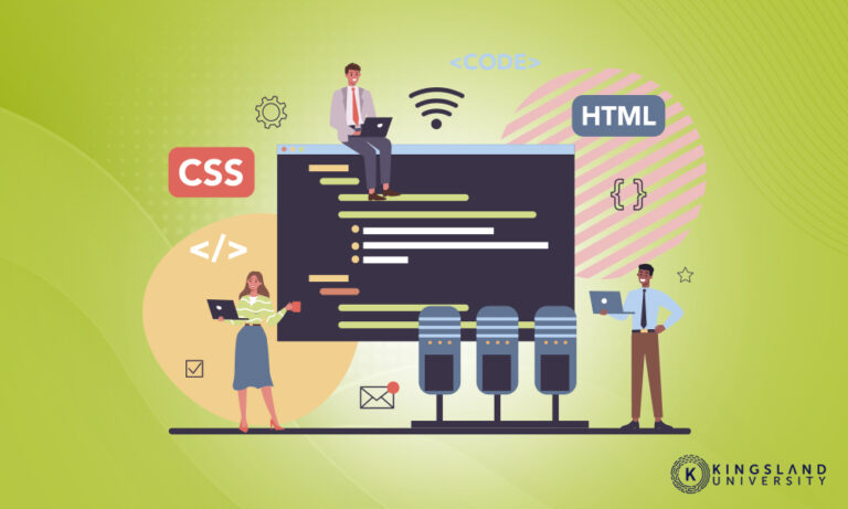 What Are The Different Software Developer Levels And Job Titles