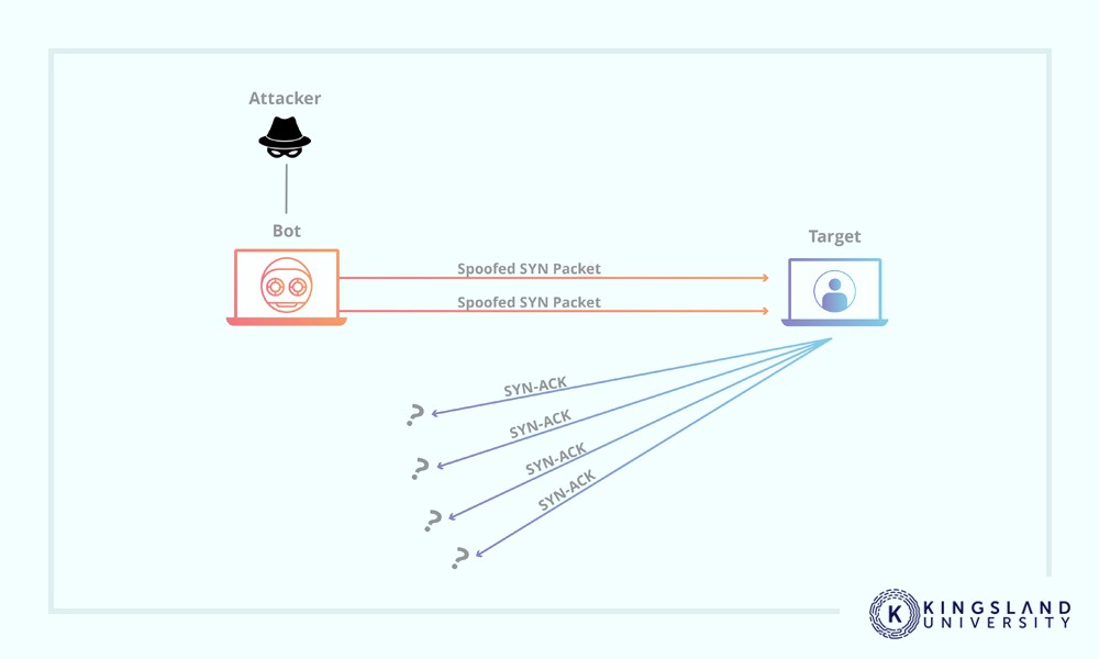 Syn Flood DDoS