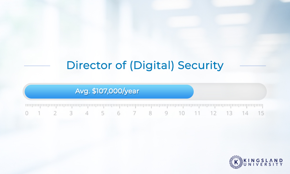 Director Digital Security