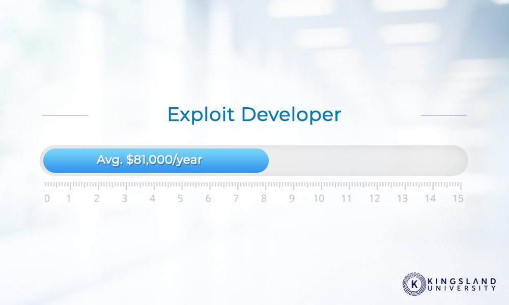 Exploit Developer