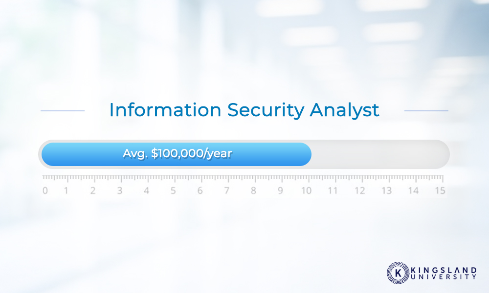 Information Security Analyst