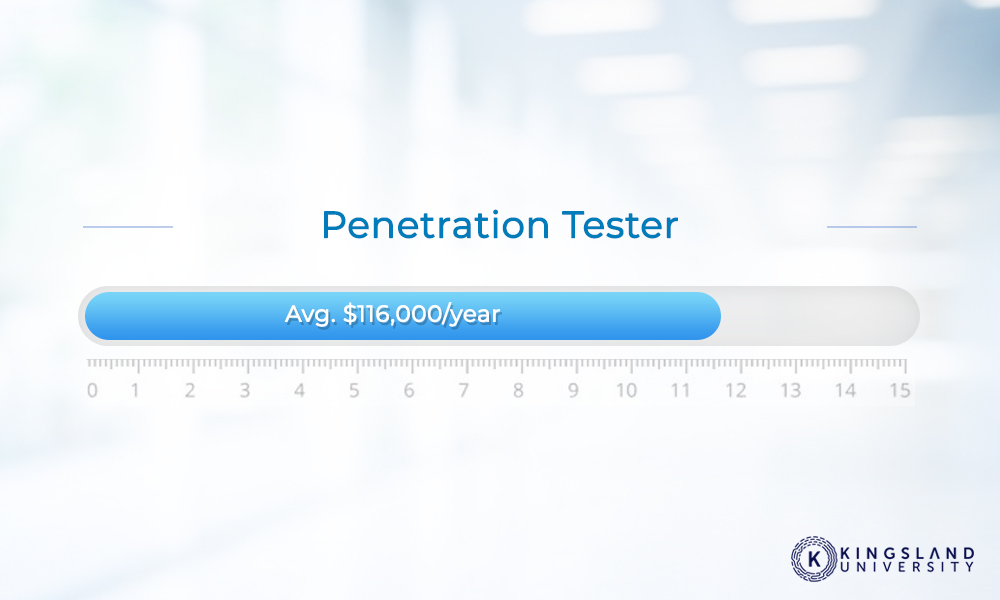 Penetration Tester