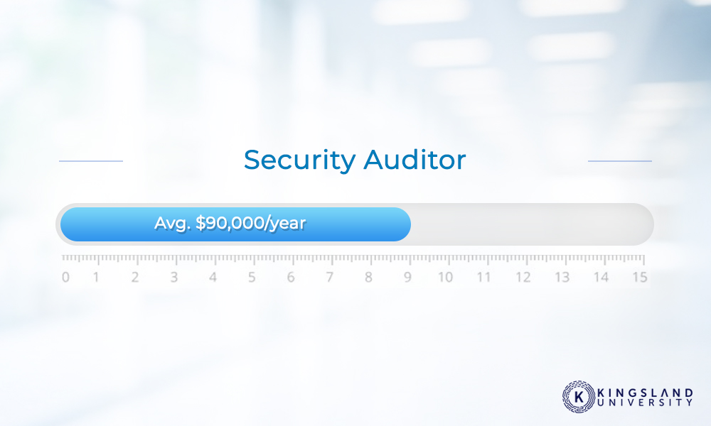 Security Auditor