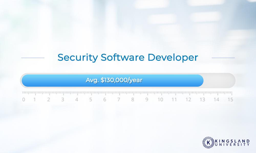 Security Software Developer