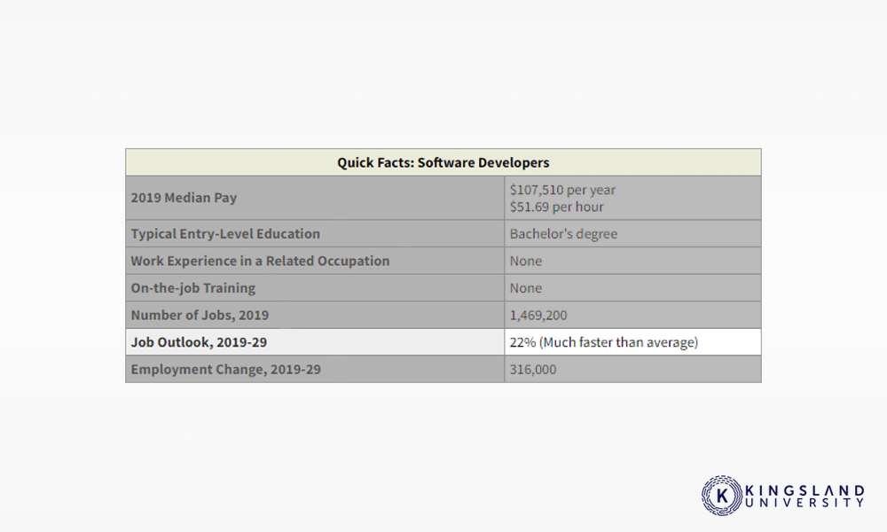 Software Developer Outlook