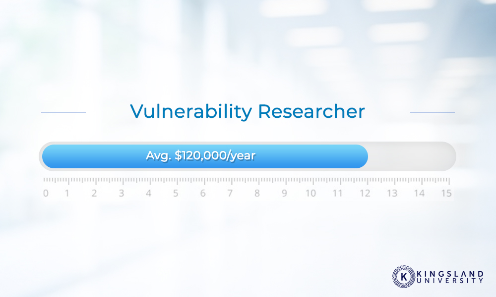 Vulnerability Researcher