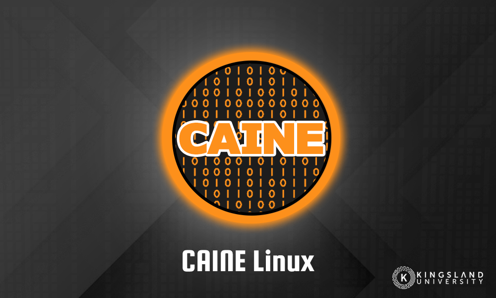 CAINE Linux